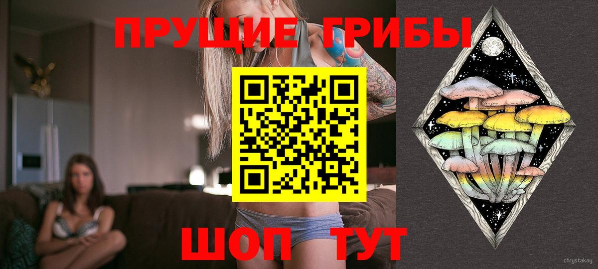 Псилоцибиновые грибы Cubensis Кизляр