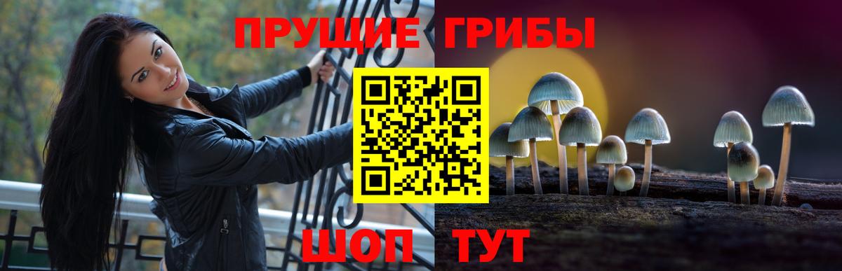 Кизляр  Галлюциногенные грибы Magic Shrooms  Вход с VPN 