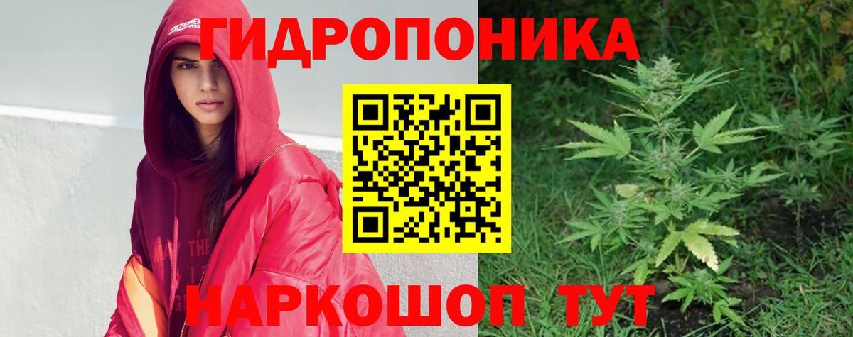 Марихуана Amnesia Кизляр